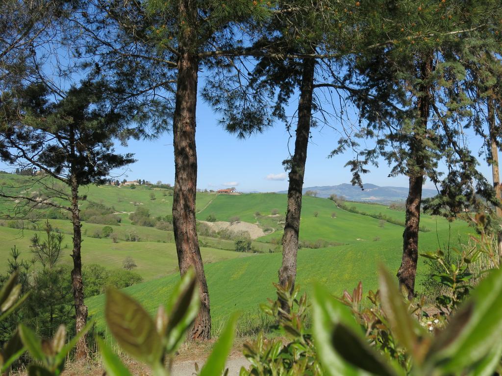 Il Palagetto *